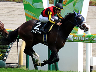 アルビージャ(新緑賞)