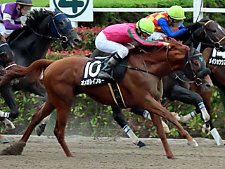 オメガレインボー(アハルテケステークス)