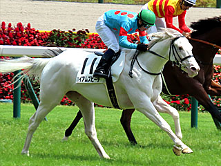 ハイアムズビーチ(2歳新馬)