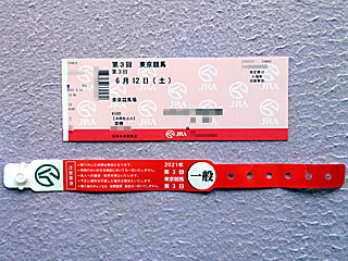 スマートシート指定席付入場券&リストバンド