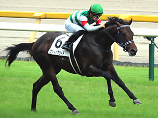 ヴァーンフリート(2歳新馬)