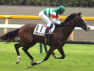 アライバル(2歳新馬)