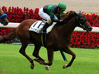 アバンチュリエ(2歳新馬)