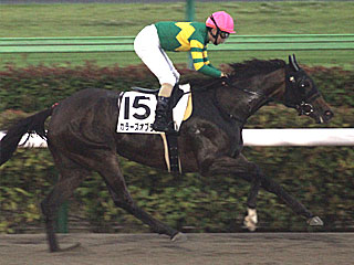 カラーズオブラヴ(3歳上1勝クラス)