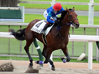 コンバスチョン(2歳新馬)