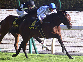 ドウデュース(アイビーステークス)