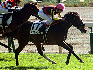 スクルトゥーラ(2歳新馬)