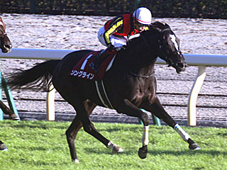 ソングライン(富士ステークス)