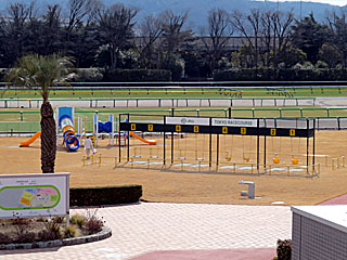 ブランコエリア@東京競馬場