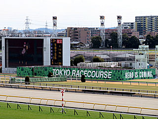 HERO IS COMING.@東京競馬場