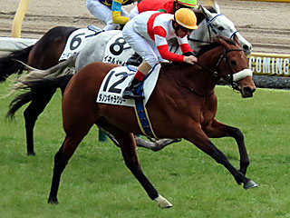 ダノンギャラクシー(3歳未勝利)