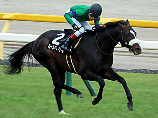 ハーツイストワール(早春ステークス)