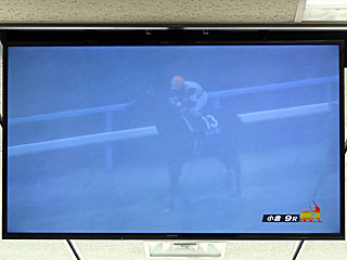 小倉競馬場降雪