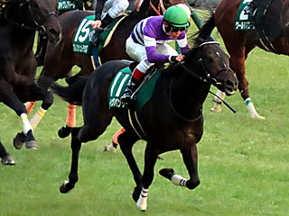 イルーシヴパンサー(東京新聞杯)