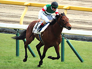 ライラスター(3歳未勝利)