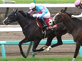 ビーアストニッシド(スプリングステークス)