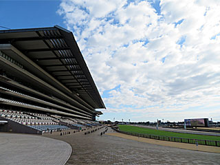 東京競馬場