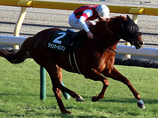 ウインカーネリアン(東京新聞杯)