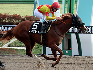 ハセドン(バレンタインステークス)