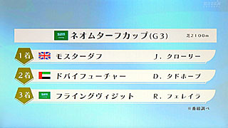 ネオムターフカップ