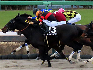 ホウオウルバン(総武ステークス)