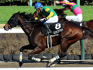 スズカコテキタイ(千葉ステークス)