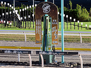 船橋競馬場（2025年JBC）