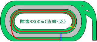 東京競馬場障害芝3300m