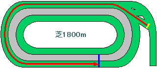 東京競馬場芝1800m
